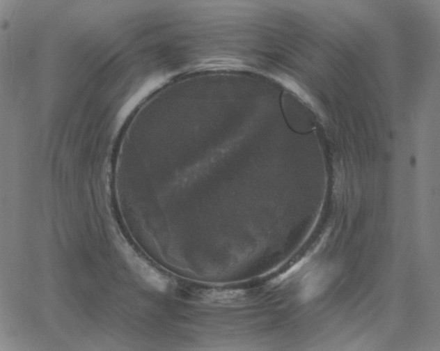 X0000063461325200601201236