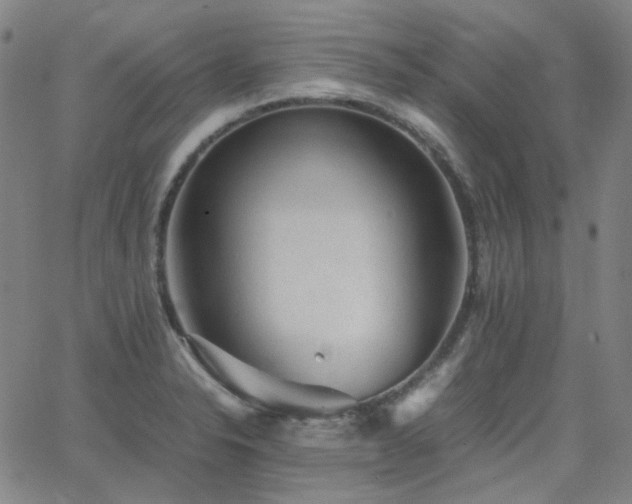 X0000063461326200601201236