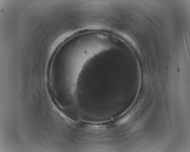 X0000063461327200601201236