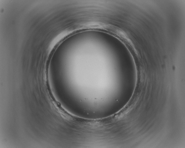 X0000063461328200601201236