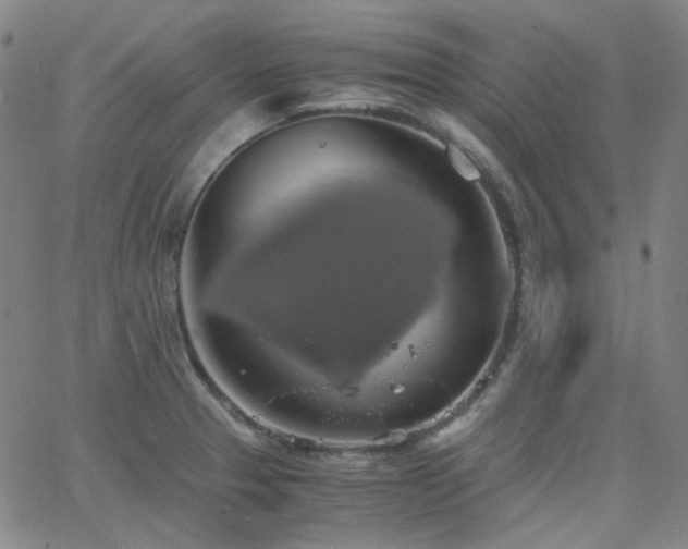 X0000063461329200601201236