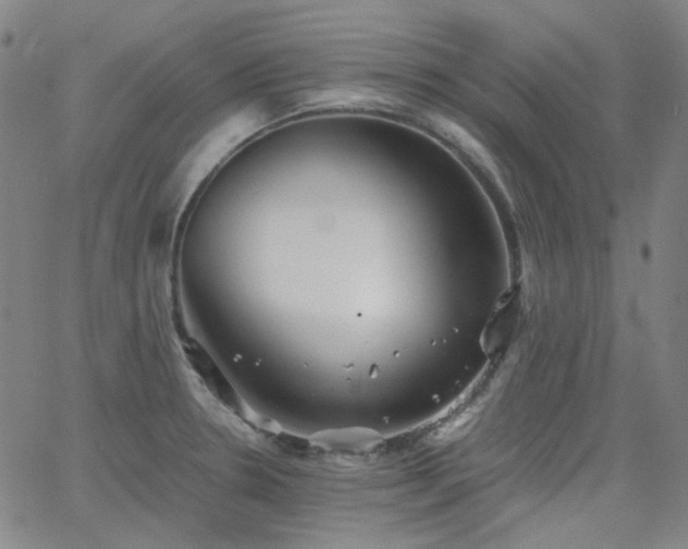 X0000063461330200601201236