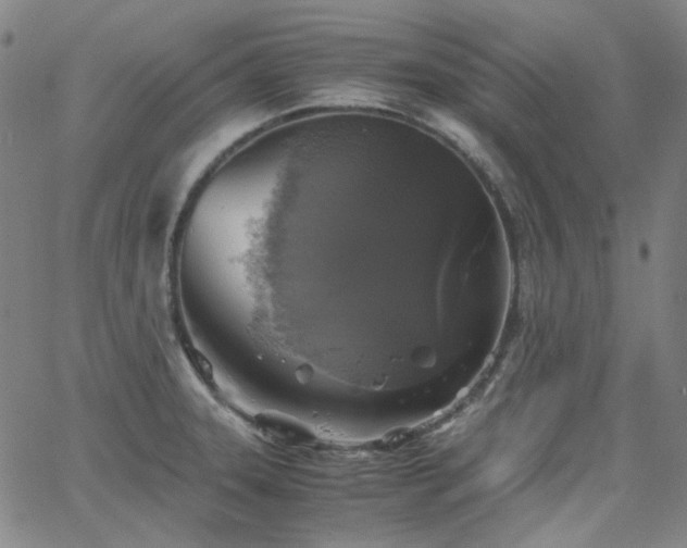 X0000063461331200601201236