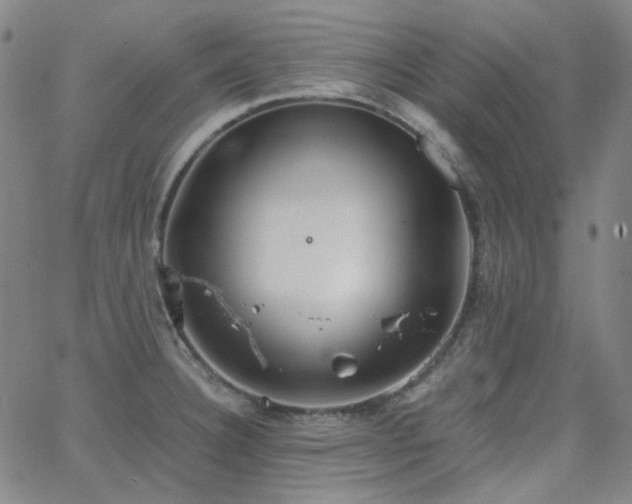 X0000063461332200601201236