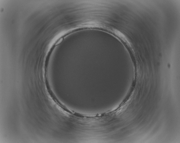 X0000063461334200601201236