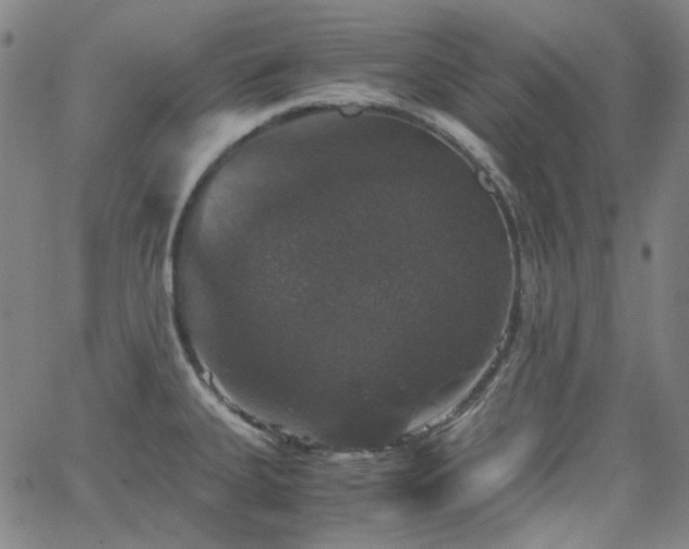 X0000063461335200601201236