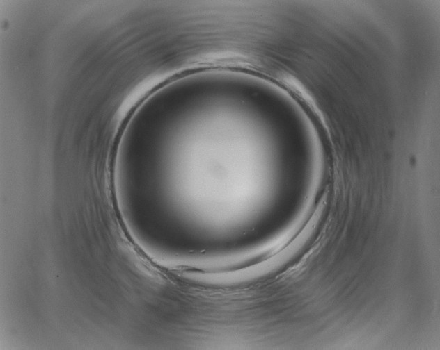 X0000063461336200601201236