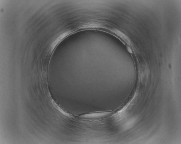 X0000063461337200601201236