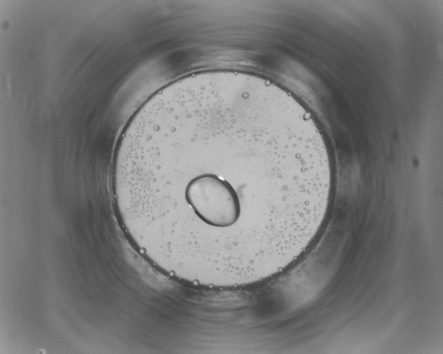 X0000063461338200601201236