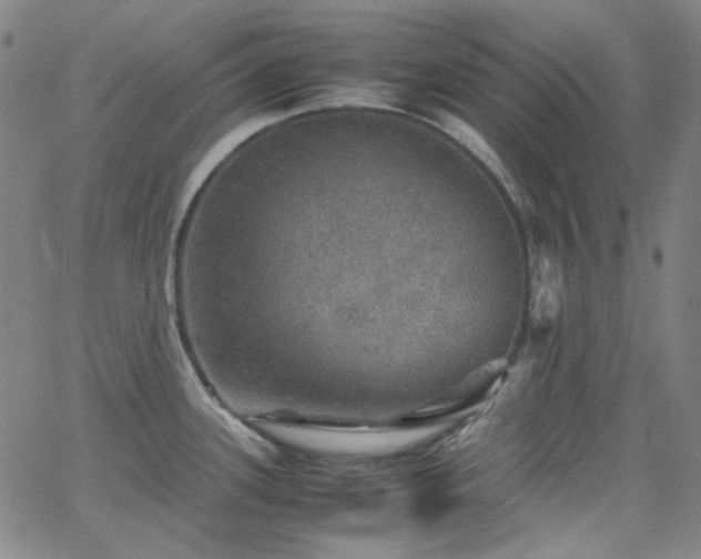 X0000063461339200601201236