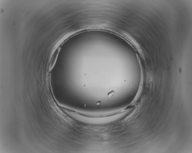 X0000063461340200601201236