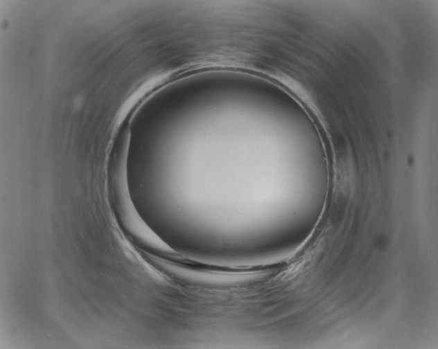 X0000063461341200601201236