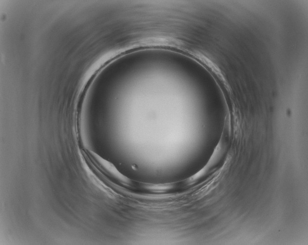 X0000063461342200601201236