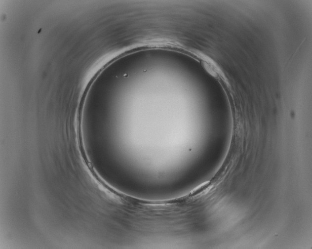 X0000063461343200601201236