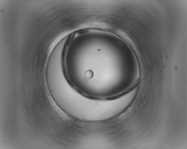 X0000063461344200601201236