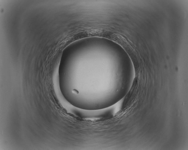 X0000063461345200601201235