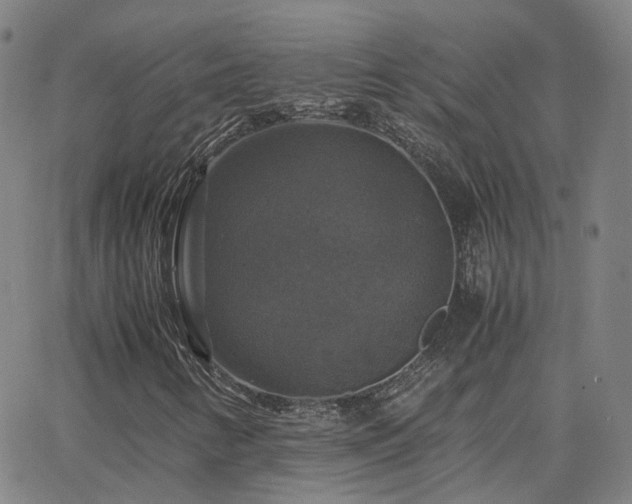 X0000063461346200601201235