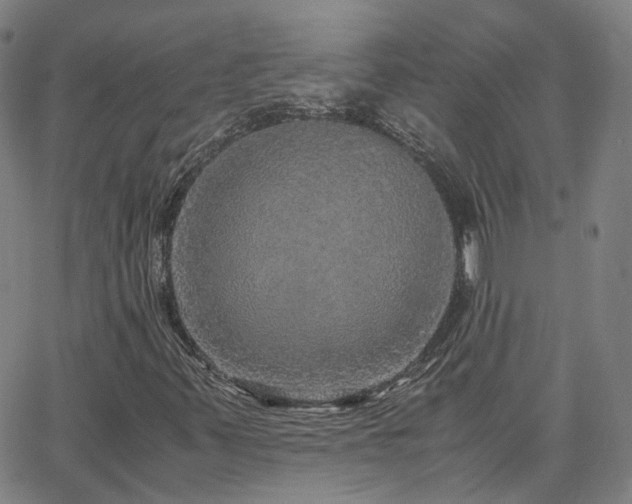 X0000063461347200601201235