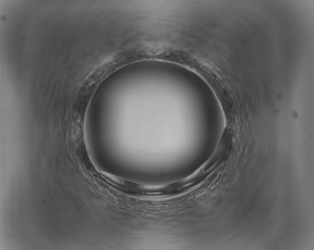 X0000063461349200601201235