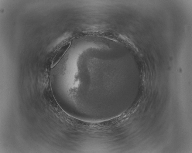 X0000063461350200601201235