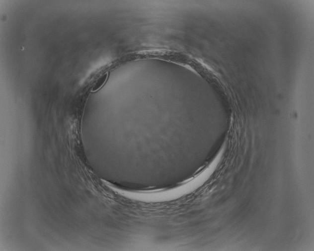 X0000063461351200601201235