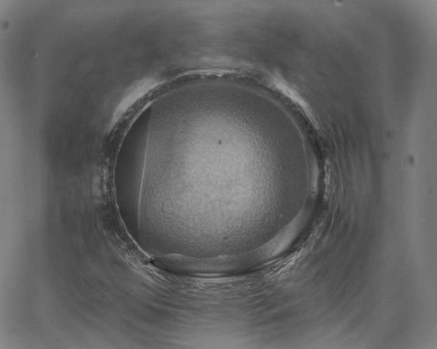 X0000063461352200601201235