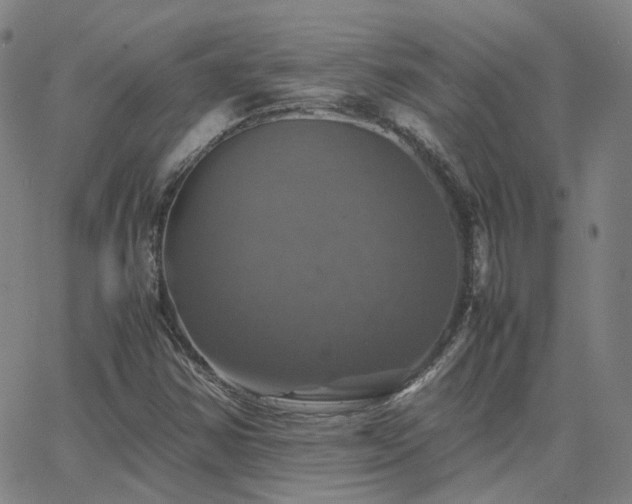 X0000063461354200601201235