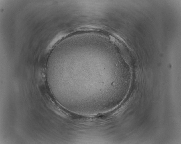 X0000063461355200601201235