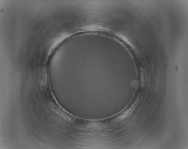 X0000063461358200601201235