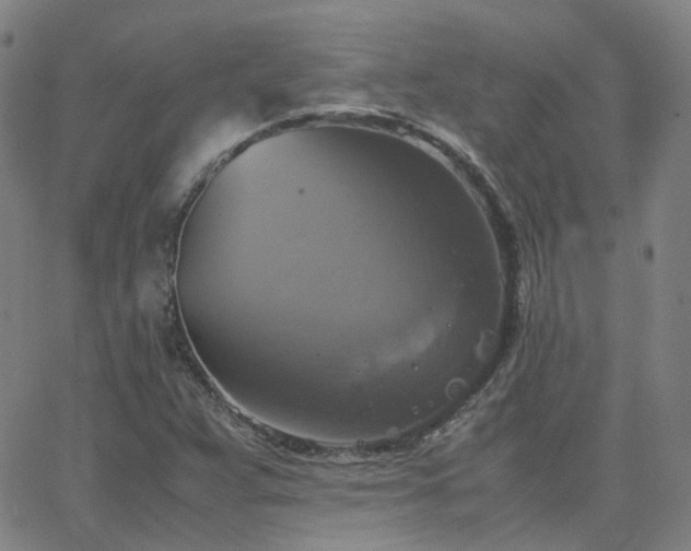 X0000063461359200601201235