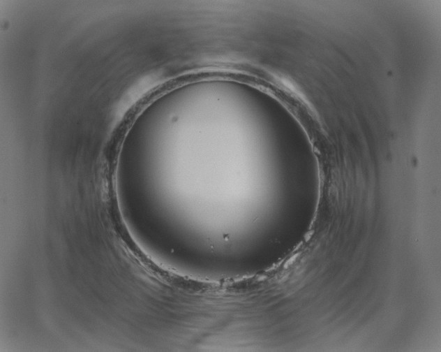 X0000063461360200601201235