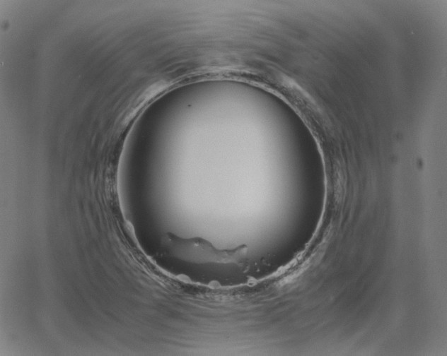 X0000063461361200601201235