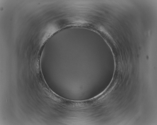 X0000063461362200601201235