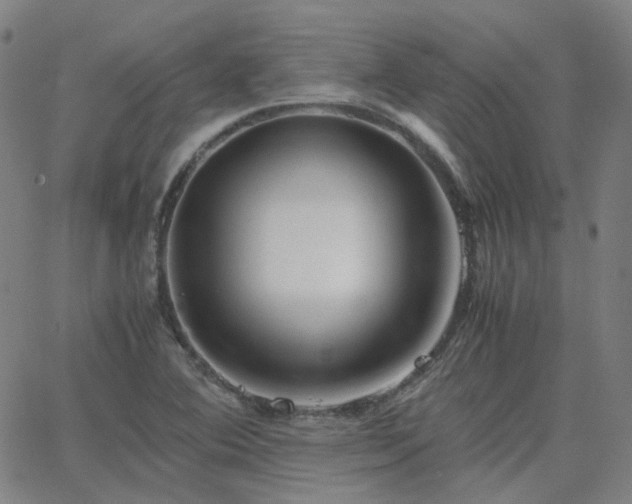 X0000063461364200601201235