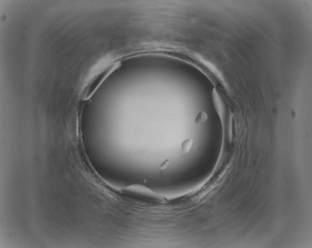 X0000063461365200601201235