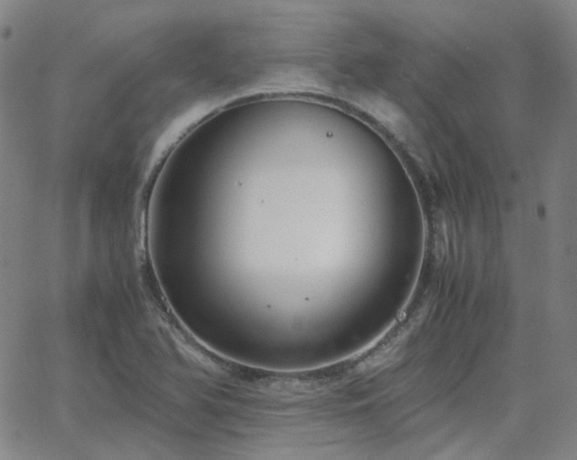 X0000063461366200601201235