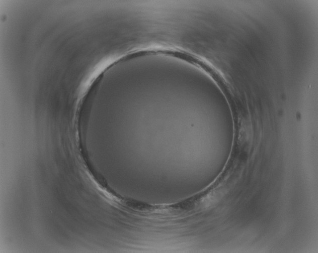 X0000063461367200601201235