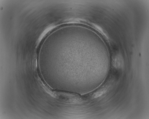 X0000063461368200601201235