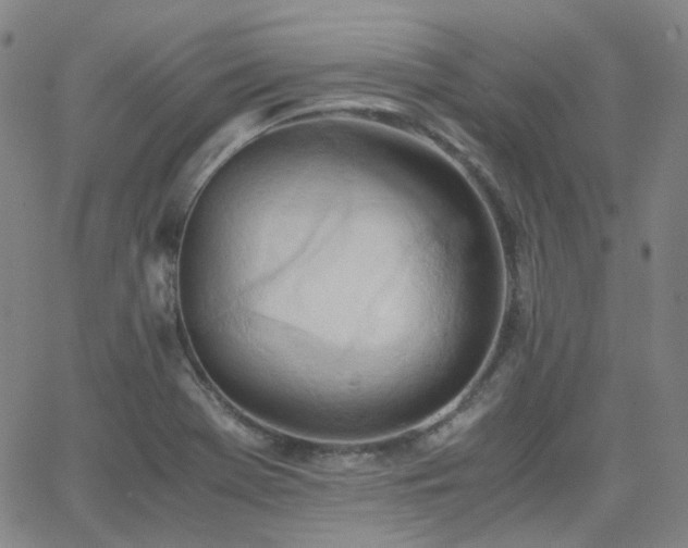 X0000063461369200601201235