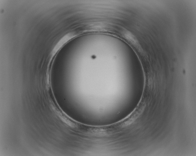 X0000063461370200601201235