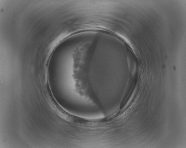 X0000063461371200601201235