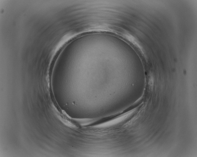 X0000063461372200601201235