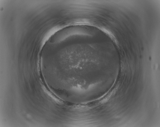 X0000063461374200601201235