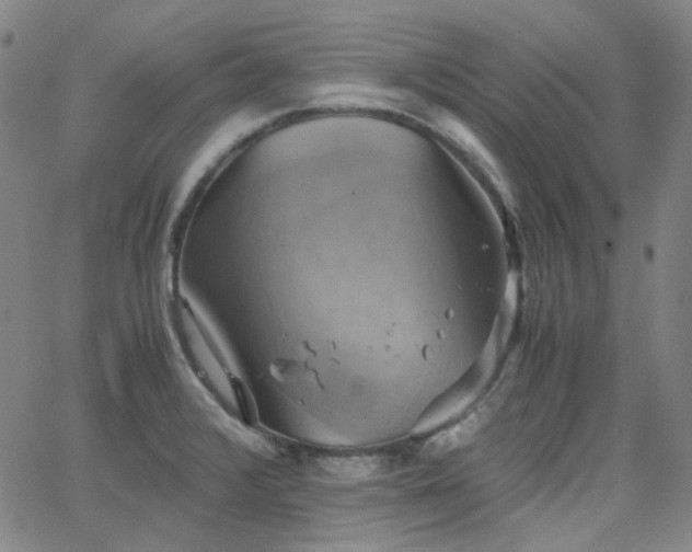 X0000063461376200601201235