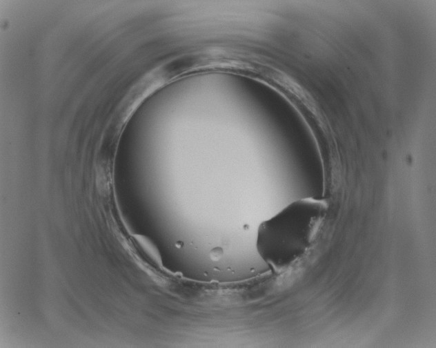 X0000063461377200601201235