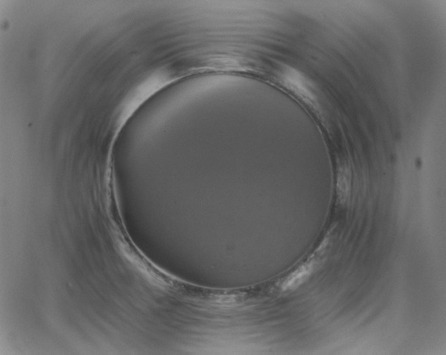 X0000063461378200601201235