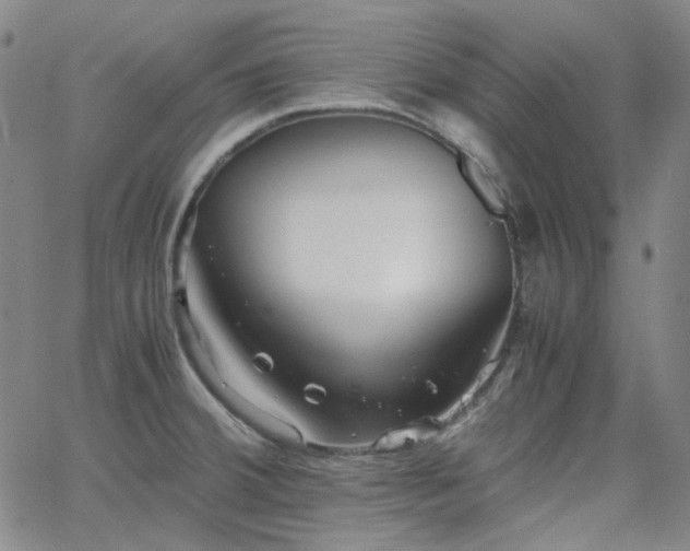 X0000063461380200601201235