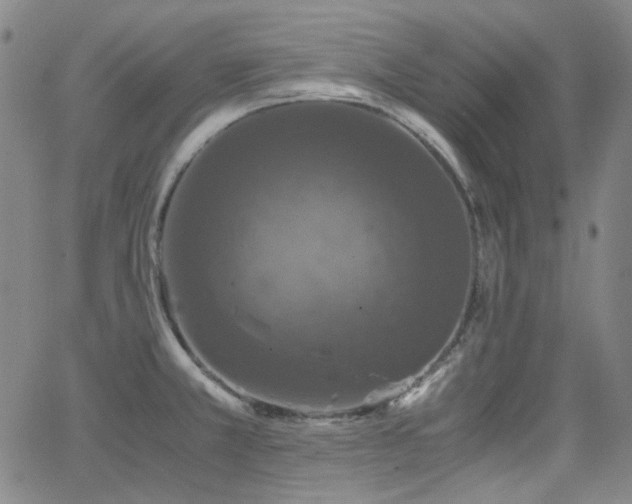 X0000063461381200601201235