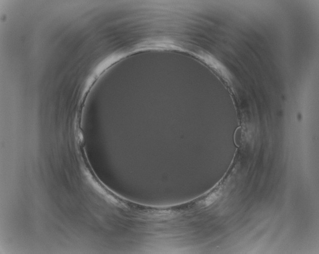 X0000063461382200601201235