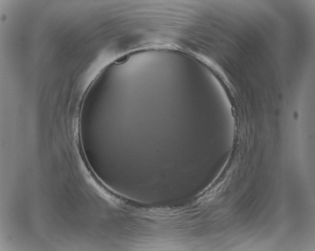 X0000063461383200601201235